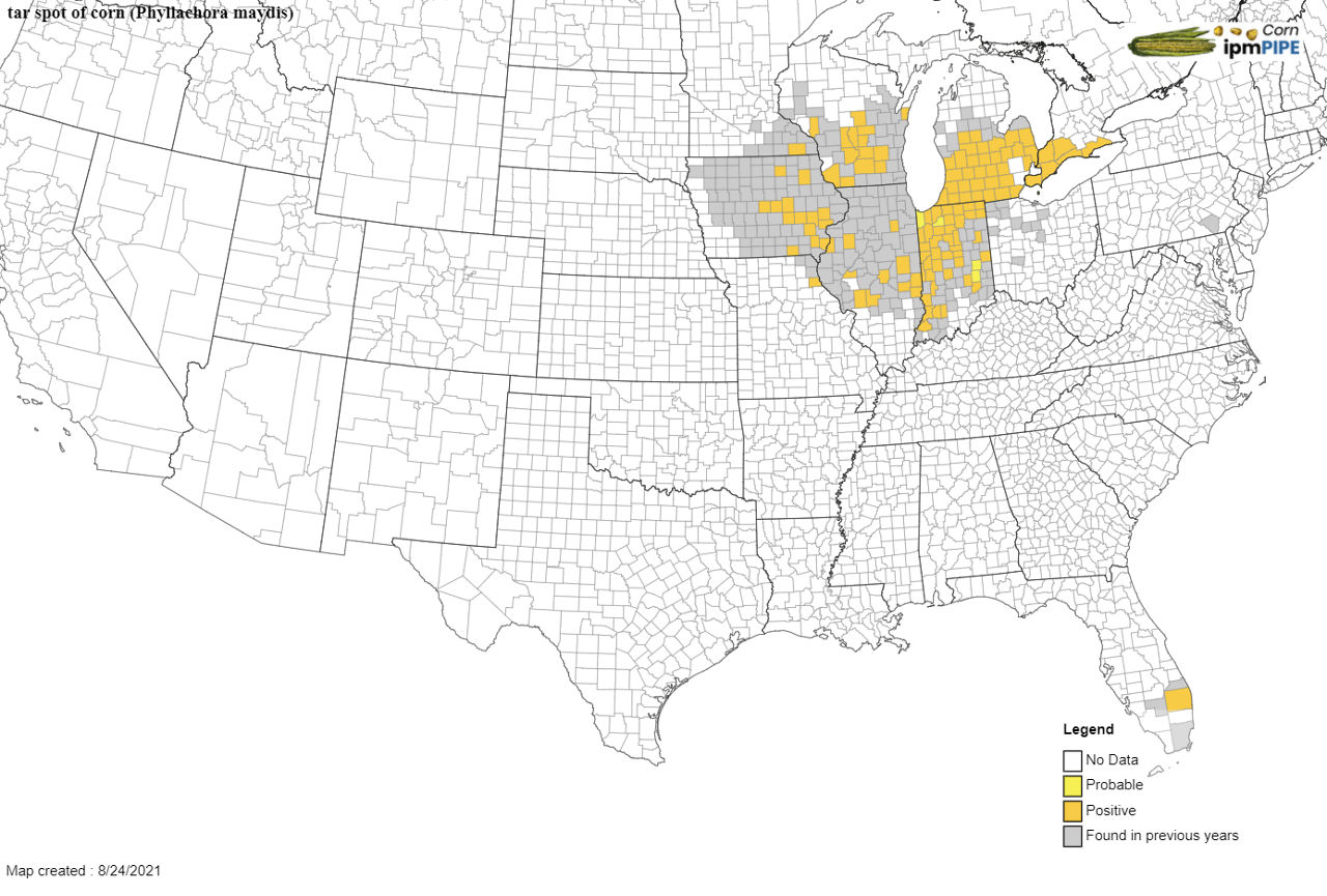 Figure 1. A map of current and previous tar spot infected areas as of  August  2021.   Source:  https://corn.ipmpipe.org/tarspot/  